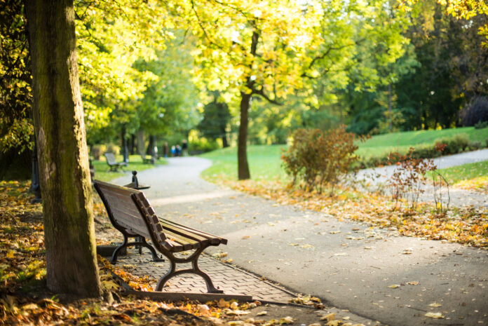 Park im Herbst mit einer Parkbank