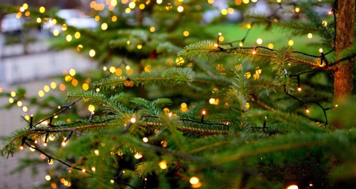 Weihnachtsbaum mit Beleuchtung