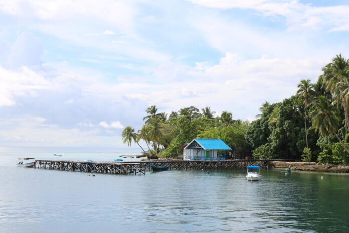 Blick auf die Küste von Papua mit einer Hütte und Bäumen.