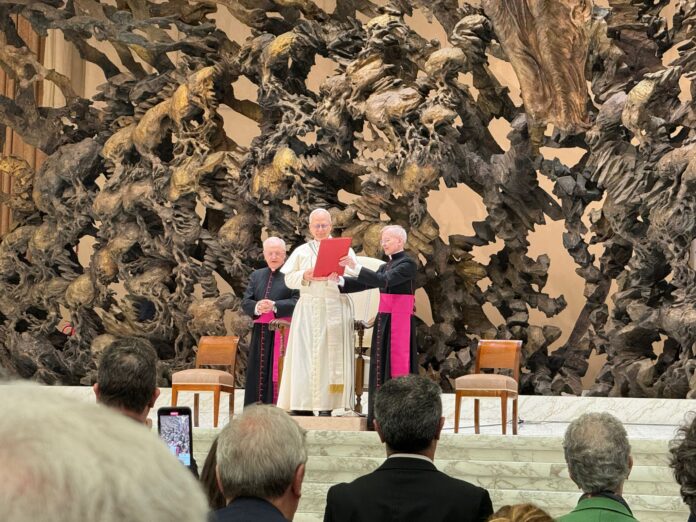 Papst Leo XIV. sprach bei der ersten Generalaudienz über den Frieden in Gaza.