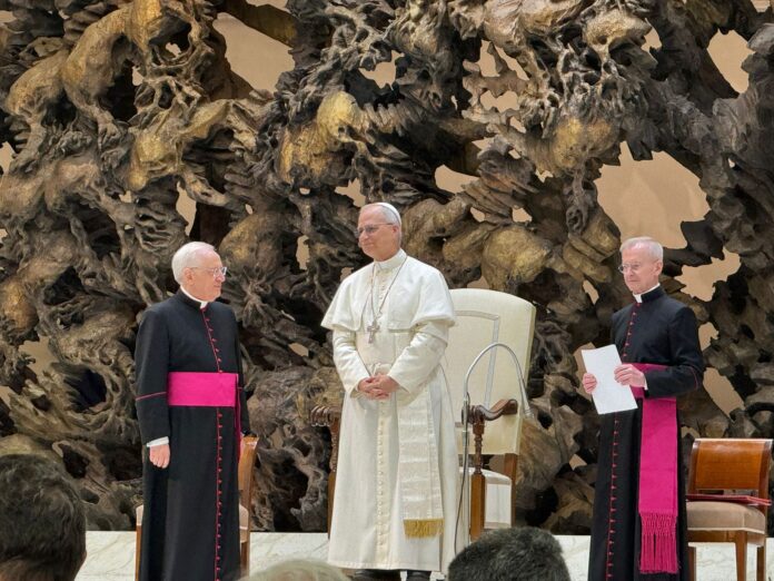 Papst Leo XIV.