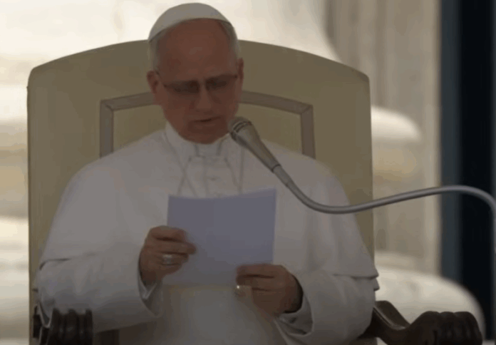 Papst Leo XIV. ruft bei der Generalaudienz zur Hoffnung auf Heilung auf.