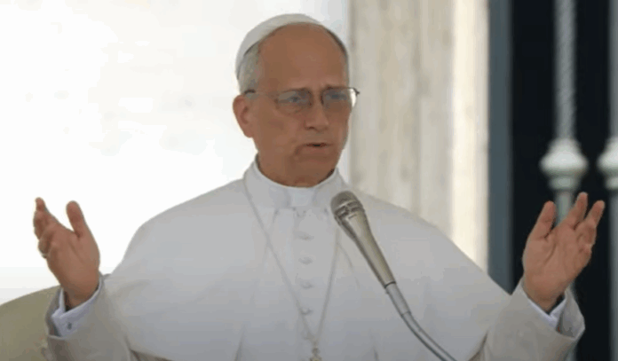 Papst Leo XIV. bei der Generalaudienz