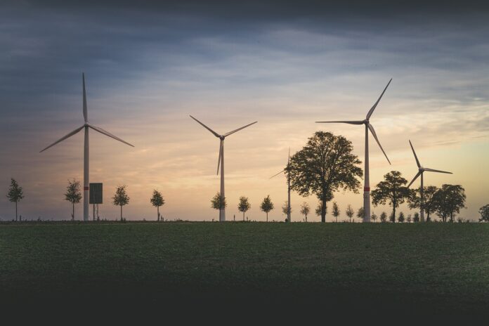 Windräder und Bäume - Bei der UN-Klimaverhandlung in Bonn wird der Ruf nach Klimagerechtigkeit und Schuldenerlass lauter