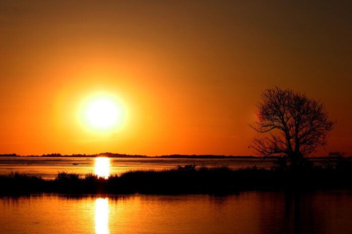Sonnenuntergang im Amazonas