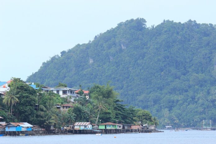 Insel ins Papua-Neuguinea