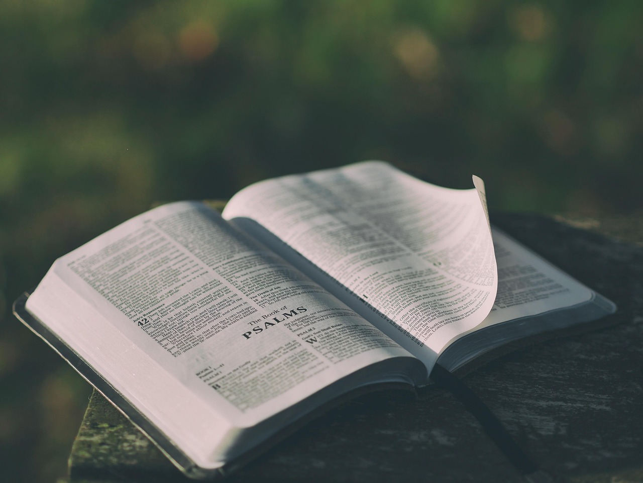 Aufgeschlagene Bibel