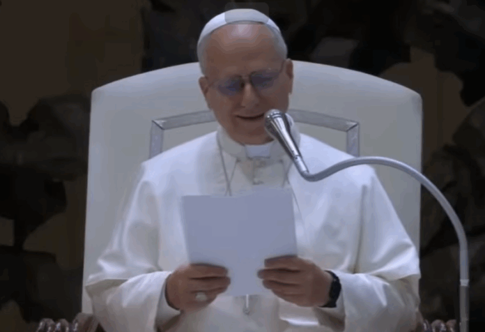 Screenshot 2025-10-31 085703 Papst Leo XIV. bei seinem Appell an Jugendliche zu Mut für Frieden