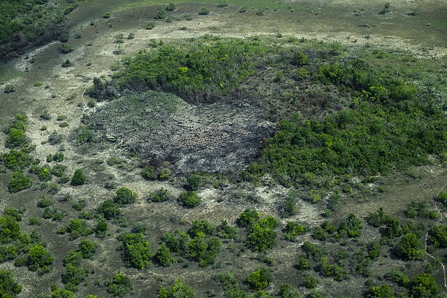 Slash_and_Burn_agriculture_in_savanah_near_Bonfim Eine Fläche die durch Brandrodung zerstört ist.