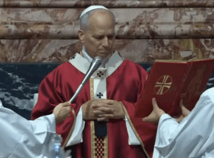 Papst Leo XIV. bei der Gedenkmesse für die verstorbenen Kardinäle