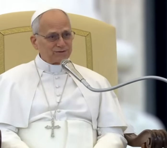 Papst Leo XIV. zieht bei der letzten Generalaudienz des Jahres Bilanz zum Jahresende