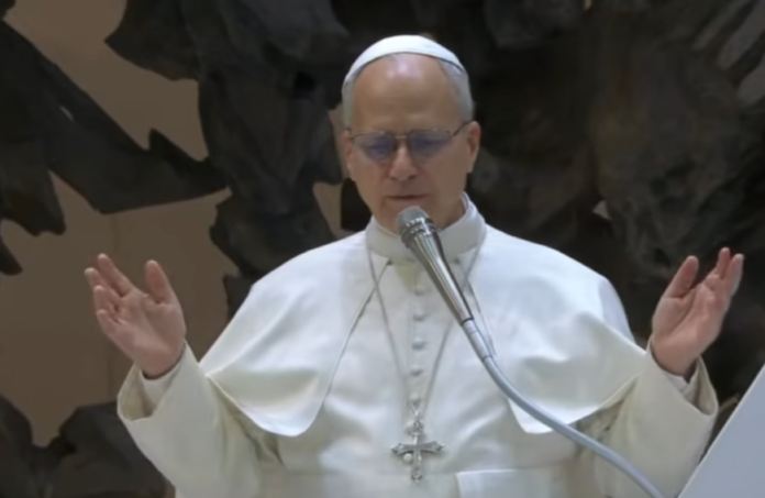 Papst Leo XIV. bei der Generalaudienz