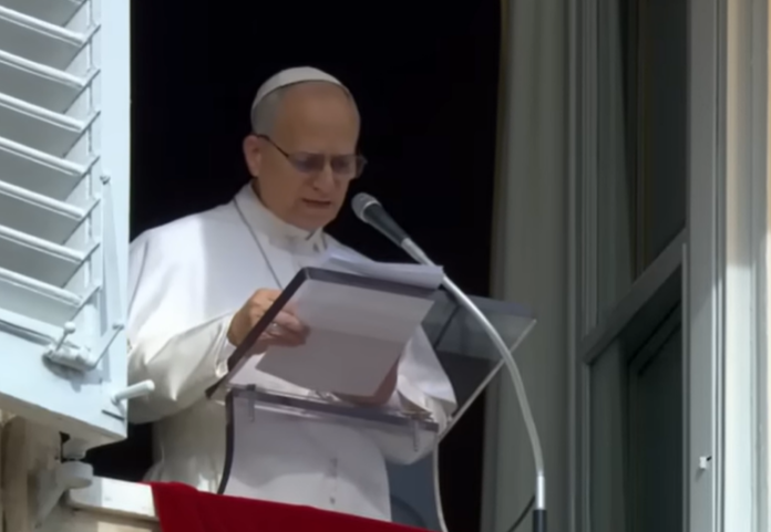 Papst Leo XIV. beim Angelusgebet über Christen als das Salz der Erde