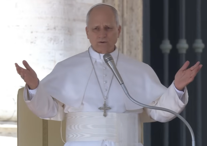 Papst Leo XIV. bei der Generalaudienz