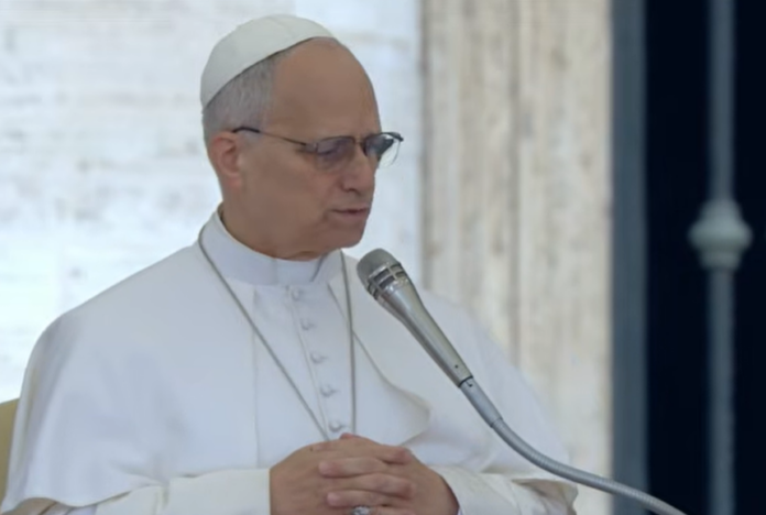 Papst Leo XIV. bei der Generalaudienz zu Lumen Gentium