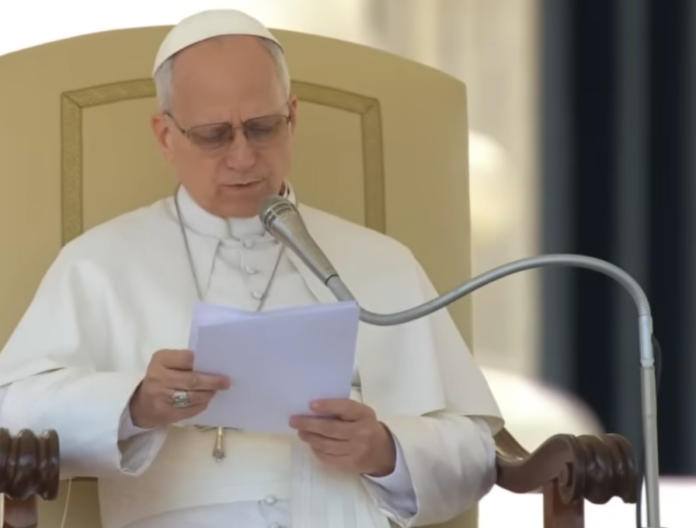 Papst Leo XIV. bei der Generalaudienz über Kirchenhierarchie