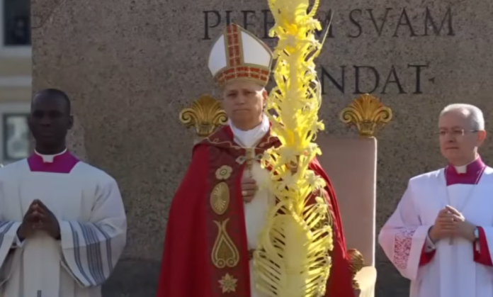 Papst Leo XIV. am Palmsonntag