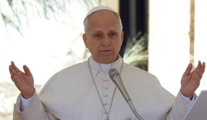 Papst Leo XIV. bei der Generalaudienz