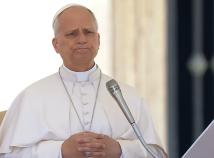 Papst Leo XIV. bei der Generalaudienz