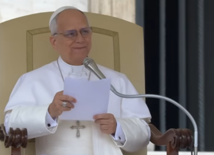 Papst Leo XIV. bei der Generalaudienz zu Lumen Gentium
